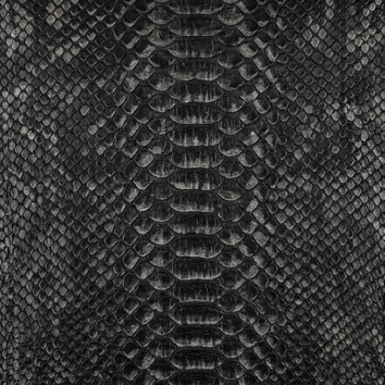 Snake-Embossed